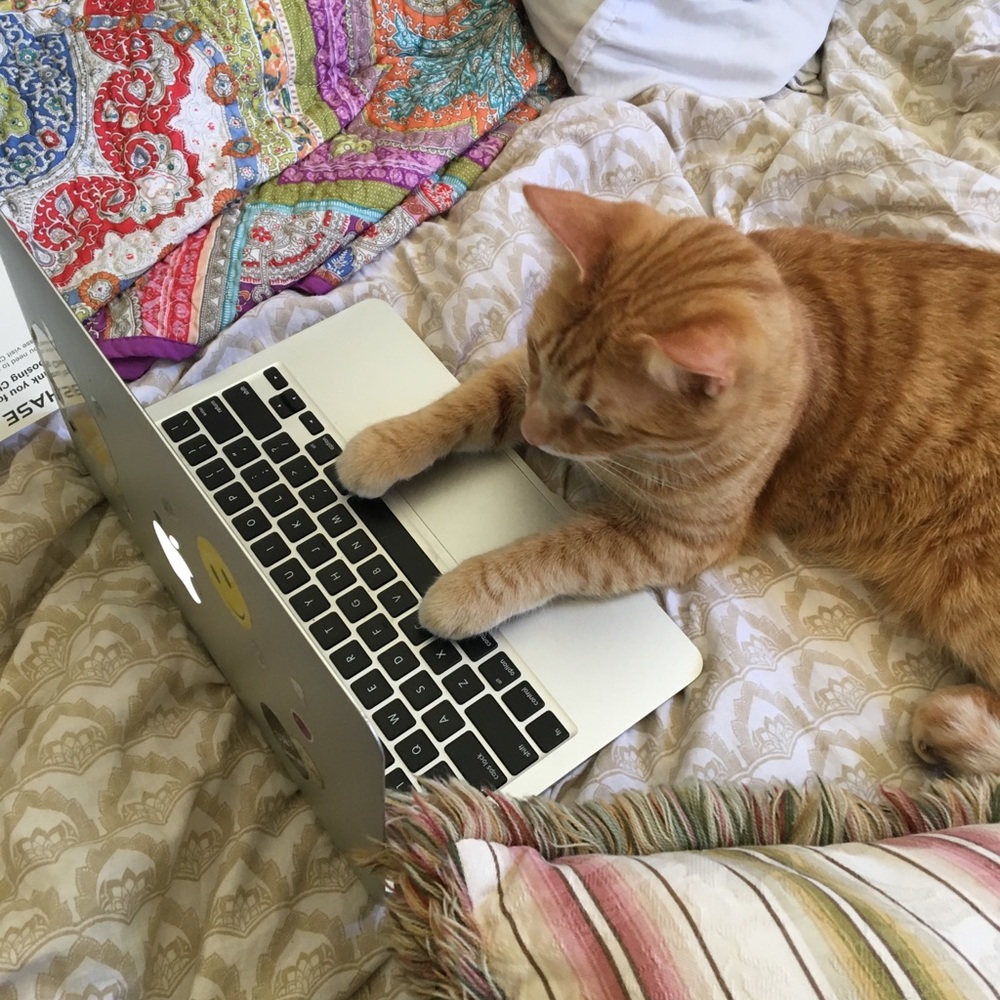 Meet your Posher, Julianna